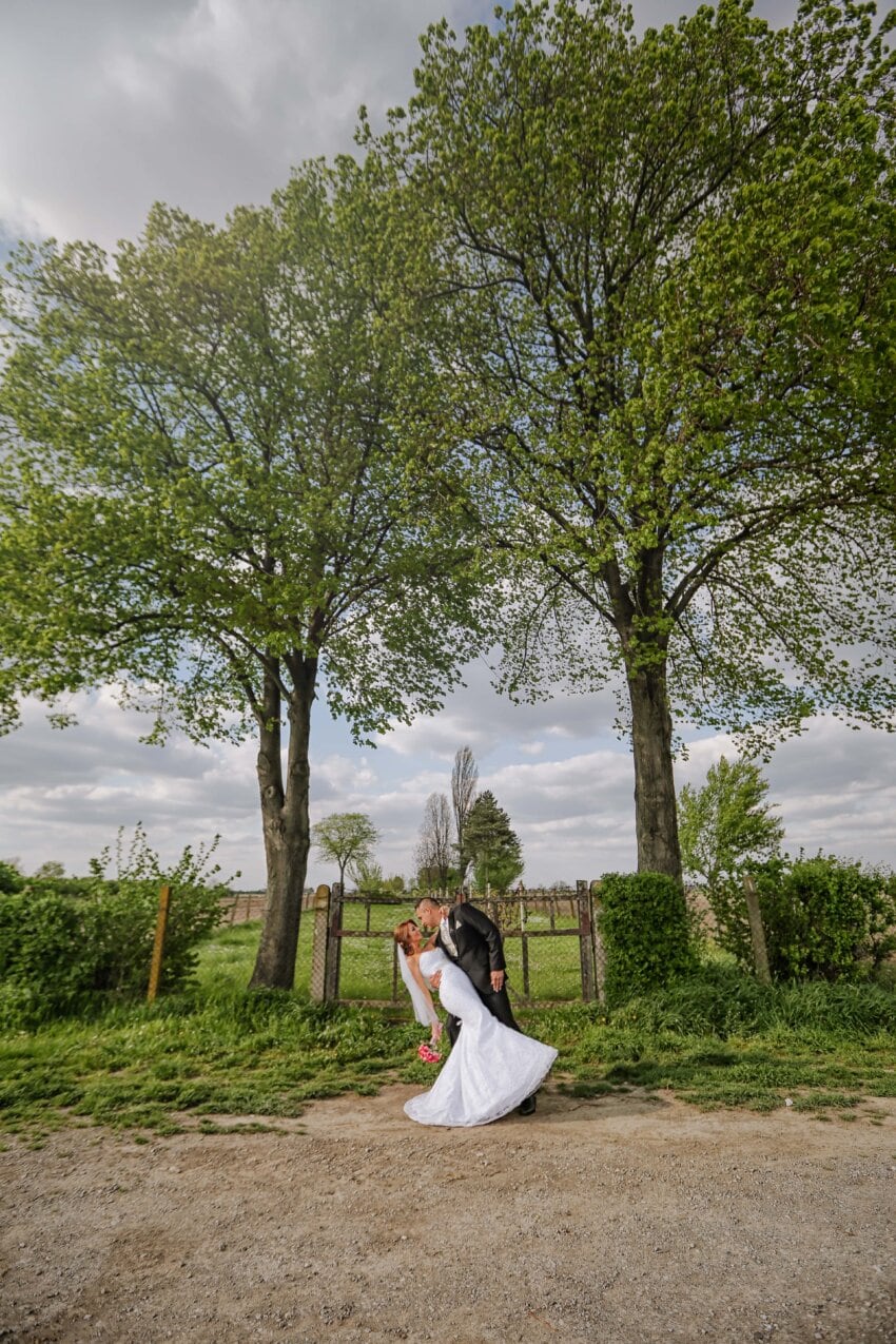 free-picture-husband-bride-village-romantic-wedding-dress-hug-tree-park-wedding-groom