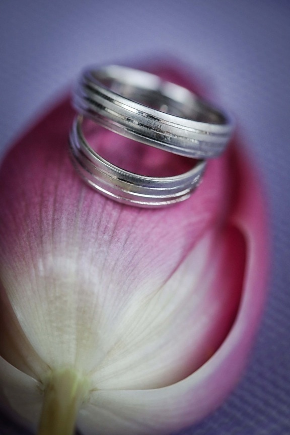 bague de mariage, Platinum, anneaux, tulipes, bijoux, fait main, Or, fermer, en détail, fleur