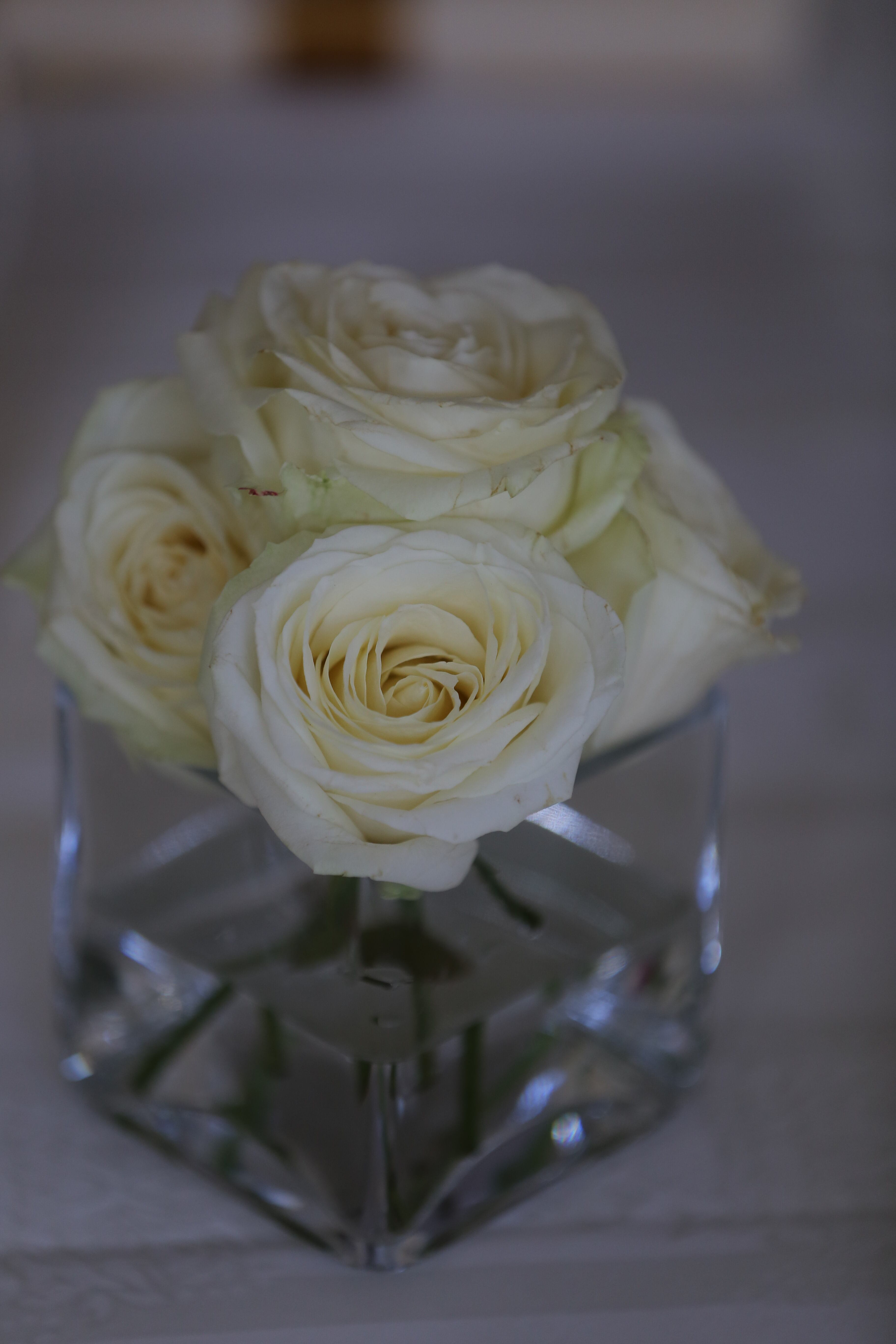 フリー写真画像 白い花 バラ 花瓶 エレガンス ガラス ロマンス 花 ローズ 花びら 花束
