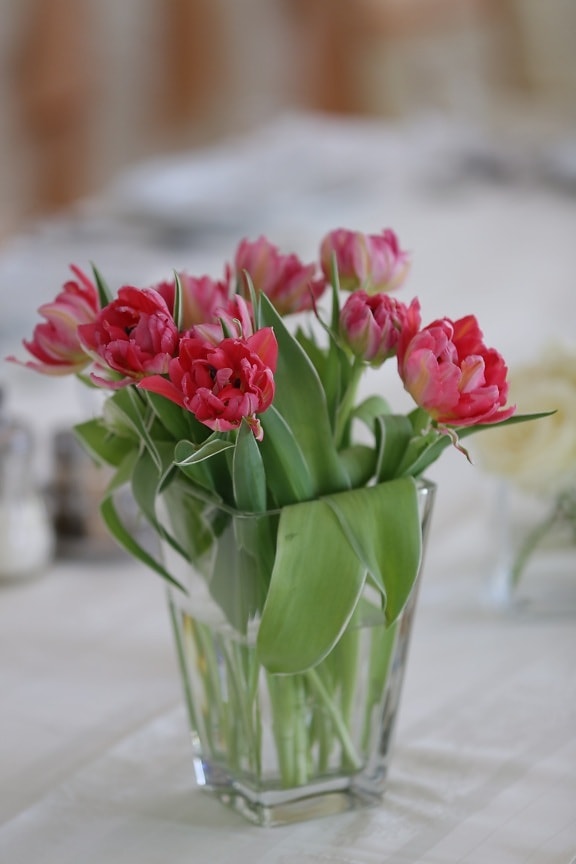 vase, pinkish, tulips, cafeteria, tablecloth, table, tulip, plant, bouquet, flower
