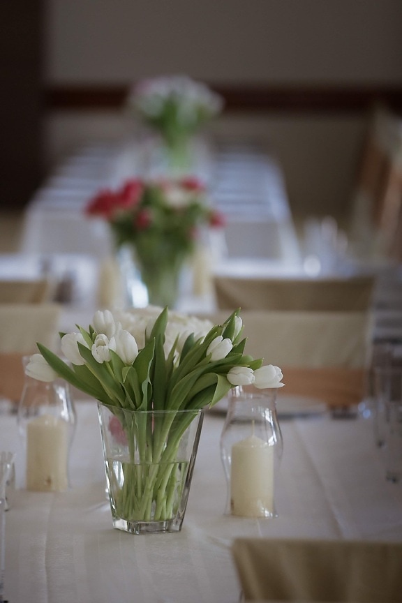 ดอกทิวลิป, ดอกไม้สีขาว, เชิงเทียน, ห้องอาหารกลางวัน, เทียน, โรงอาหาร, พื้นที่รับประทานอาหาร, ในที่ร่ม, แจกัน, ตาราง
