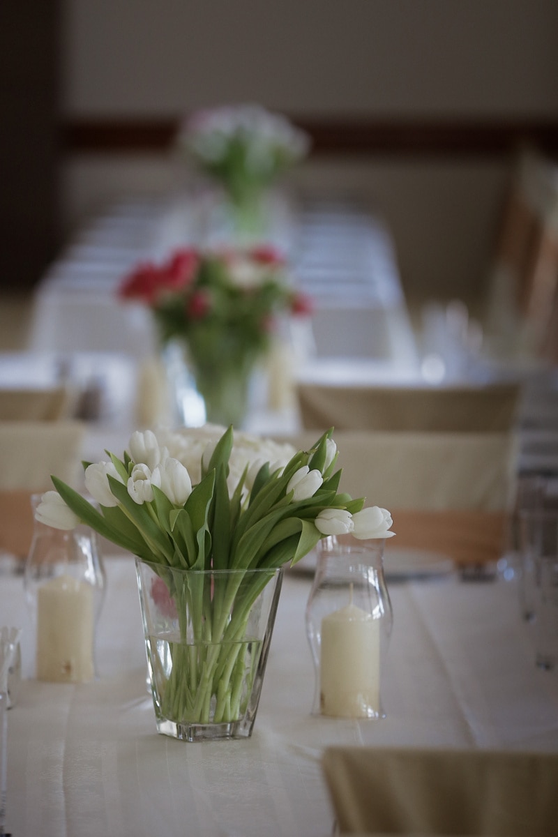 튤립, 흰 꽃, 촛대, 간이 식당, 양 초, 카페테리아, 식사 공간, 실내, 꽃병, 테이블