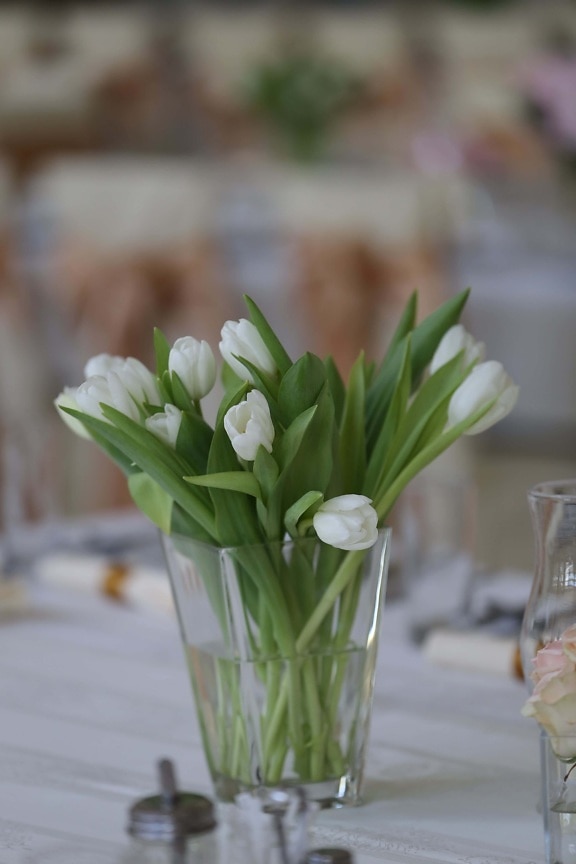 fleur blanche, tulipes, élégant, vase, fleur, bouquet, décoration, plante, arrangement, nature