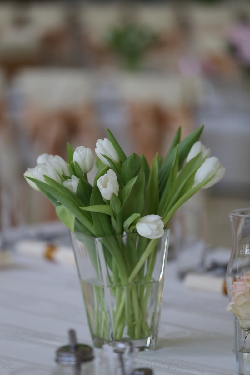 Bílý květ, tulipány, elegantní, váza, květ, kytice, dekorace, závod, uspořádání, příroda