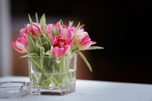tulipány, Váza, popolník, obrus, elegancia, stôl, kvet, kvety, Kytica, usporiadanie