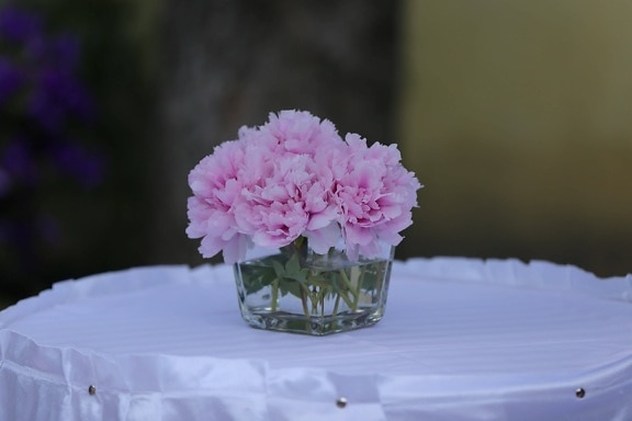 vase, carnation, arrangement, tablecloth, silk, pink, flowers, plant, flower, shrub