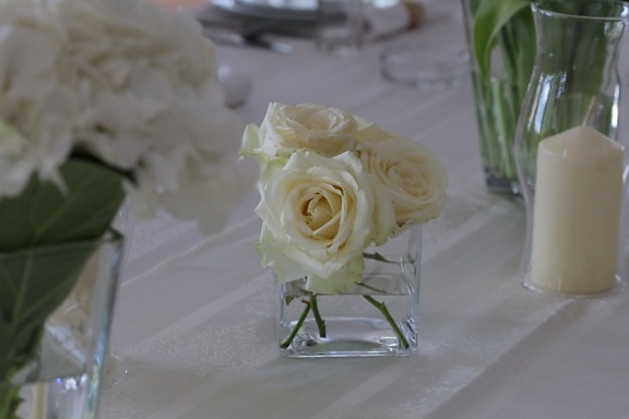 candelero, flor blanca, velas, florero de, elegancia, roseta, mantel, ramo de la, decoración, arreglo