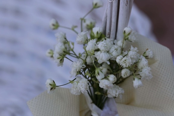 bijeli cvijet, mrtva priroda, buket, stolnjak, svila, vjenčanje, cvijet, cvijeće, romansa, vaza