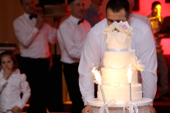 wedding cake, wedding, celebration, bartender, ceremony, spark, restaurant, groom, domestic, woman