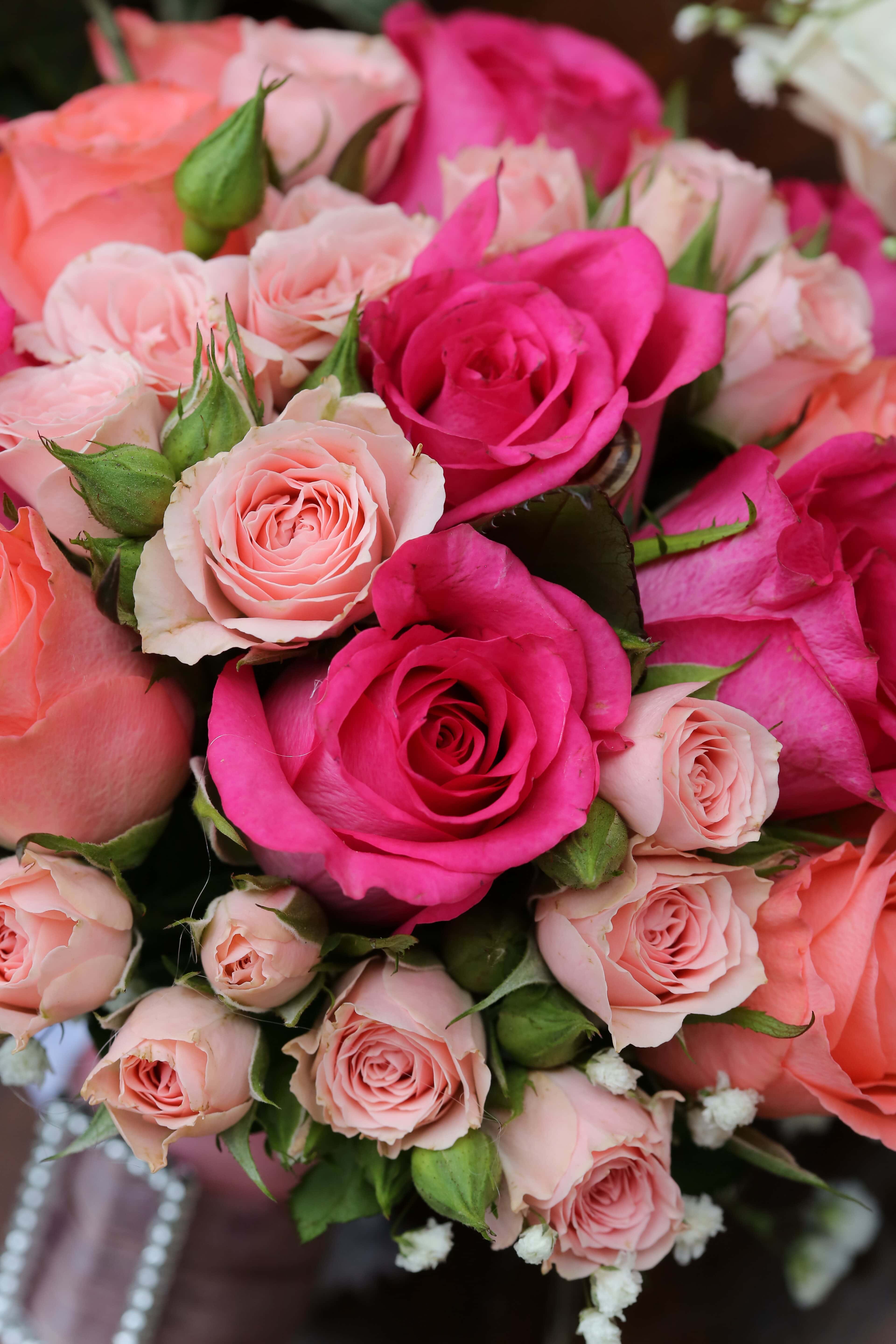 フリー写真画像 花束 バラ 愛 配置 装飾 花 ロマンス ローズ 自然 クラスタ