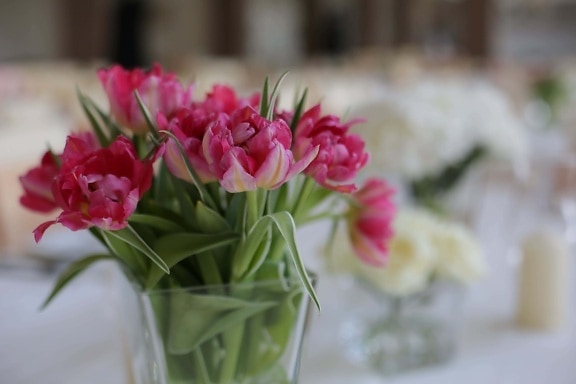 vase, crystal, tulips, lunchroom, table, dining area, flowers, blossom, bouquet, flower