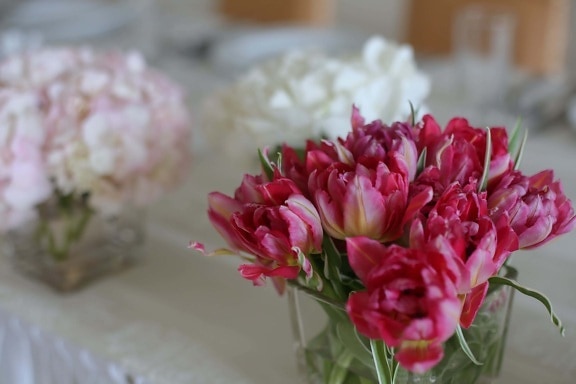 ดอกทิวลิป, สีแดง, แจกัน, แก้ว, ดอกไม้, สีชมพู, งานแต่งงาน, ฤดูใบไม้ผลิ, โรงงาน, ดอกไม้