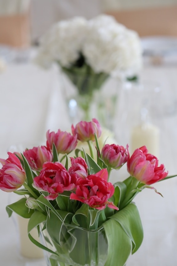 красный, Ваза, Тюльпаны, зеленые листья, элегантность, стебель, стол, Свадьба, романтика, украшения