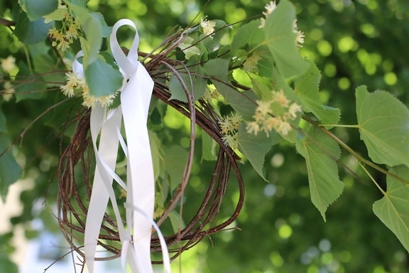 ribbon, shape, round, branch, hanging, handmade, tree, flora, nature, leaf