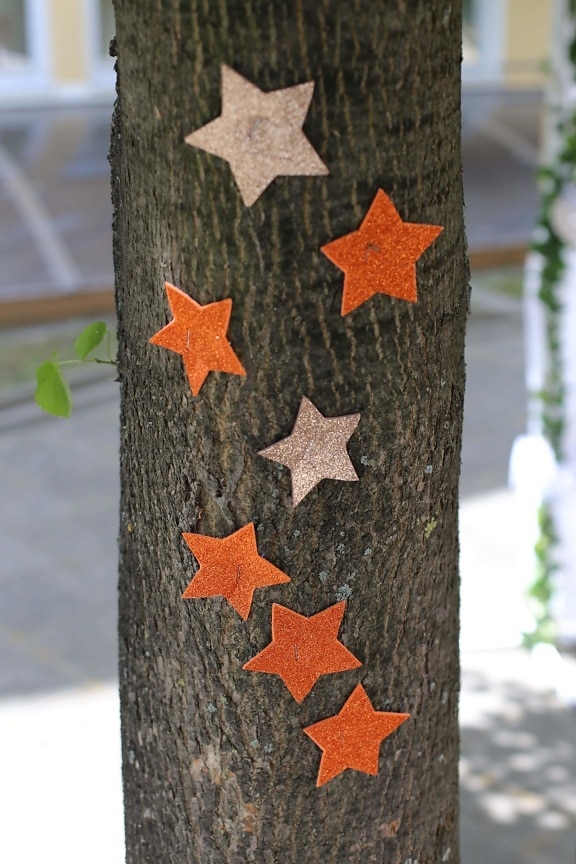 decorative, trees, bark, star, stars, wood, nature, tree, decoration, color