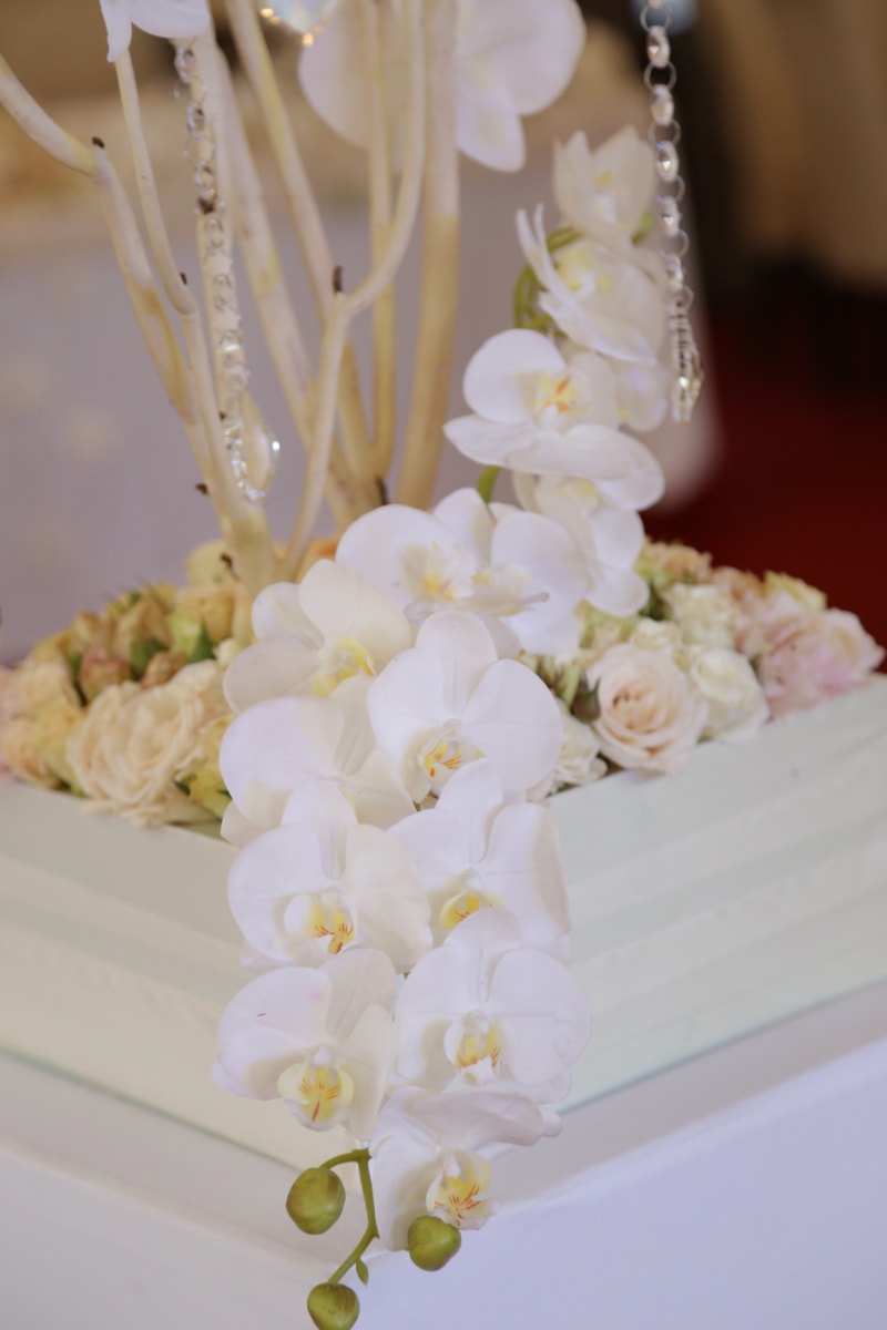 λευκό λουλούδι, ορχιδέα, ρύθμιση, διακόσμηση, Κρύσταλλο, κομψότητα, μπουκέτο, λευκό, λουλούδια, λουλούδι