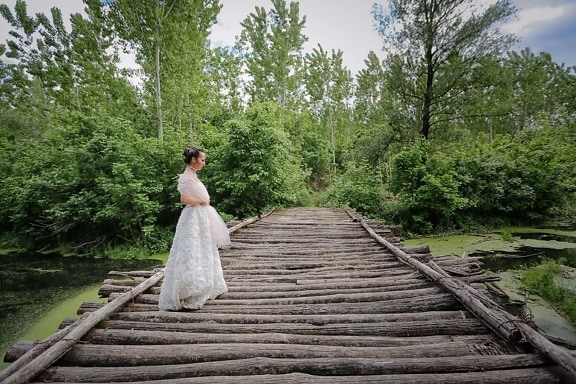 wooden, bridge, bride, wedding dress, swamp, rural, groom, wood, tree, nature