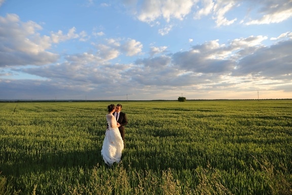 mariage, champ de blé, mari, femme, printemps, modèle photo, posant, plain, herbe, rural