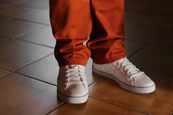 sneakers, reddish, pants, fashion, footwear, shoe, shoes, clothing, leather, pair