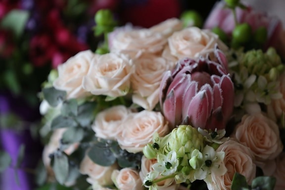 Pastell, Rosa, Blumenstrauß, Anordnung, Rosen, handgefertigte, Hochzeit, Blume, Liebe, Braut
