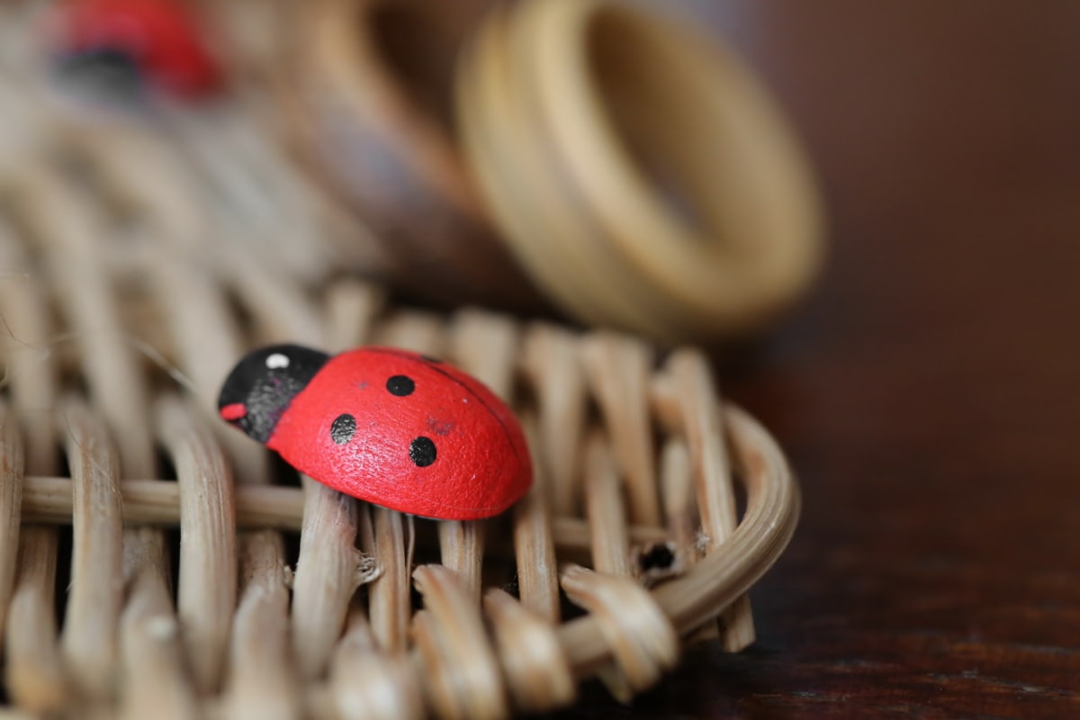 ladybug, wooden, gift, close-up, handmade, arthropod, bug, beetle, insect, summer