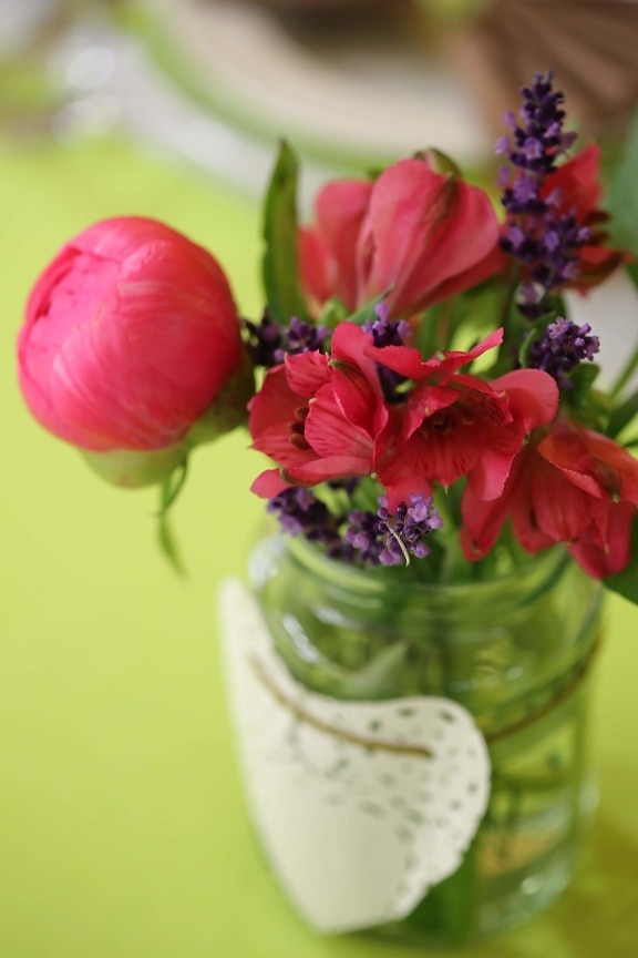 Wildblumen, Glas, Dekoration, Rosa, Anordnung, Blumenstrauß, Blume, Vase, Blumen, Blütenblatt