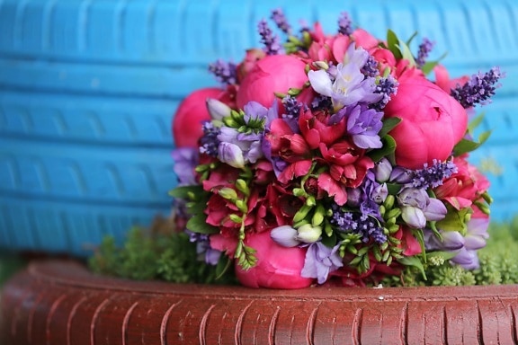 bouquet de mariage, objet, décoration, pneu, cadeau, arrangement, Rose, fleur, fleurs, bouquet