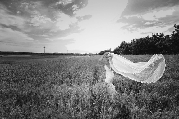bride, wedding dress, veil, pretty girl, young woman, wheatfield, wheat, field, monochrome, grass