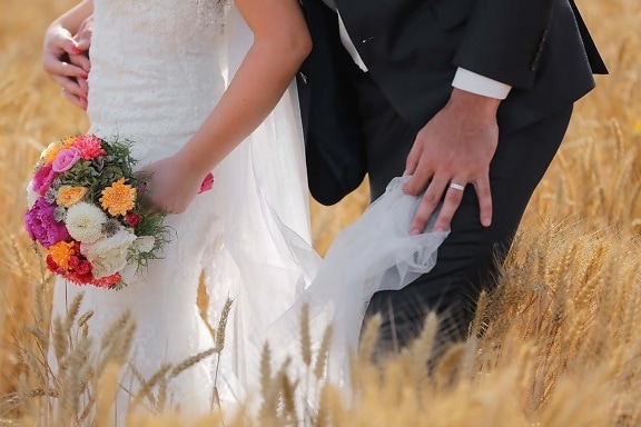 barley, field, wedding dress, wedding bouquet, suit, marriage, groom, love, woman, couple