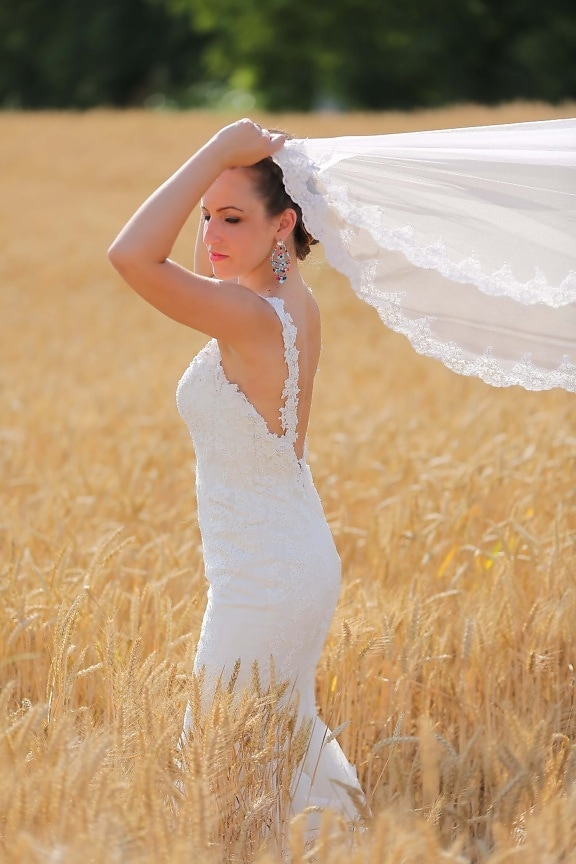 wedding, agriculture, wedding dress, side view, bride, barley, woman, nature, summer, fair weather