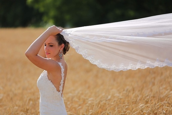 wedding dress, veil, wheatfield, gorgeous, jewelry, makeup, woman, girl, groom, wedding