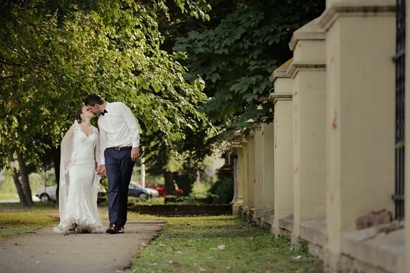 kiss, bride, husband, street, pavement, fence, suit, wedding dress, wedding, tree