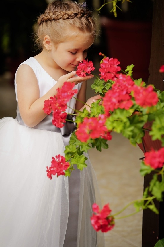 girl, pretty, child, nose, fragrance, adorable, innocence, dress, hairstyle, flowers