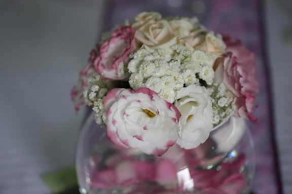 vase, crystal, round, white flower, elegance, decoration, arrangement, rose, romance, flower