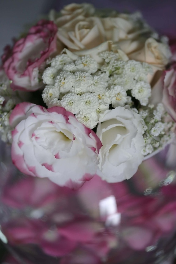 romantik, rosor, vit blomma, bukett, Kärlek, blomma, ökade, rosa, Vacker, kronblad