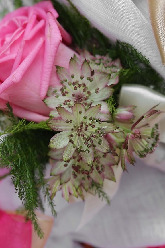 rose, pinkish, arrangement, bouquet, wedding bouquet, silk, close-up, flower, flowers, plant