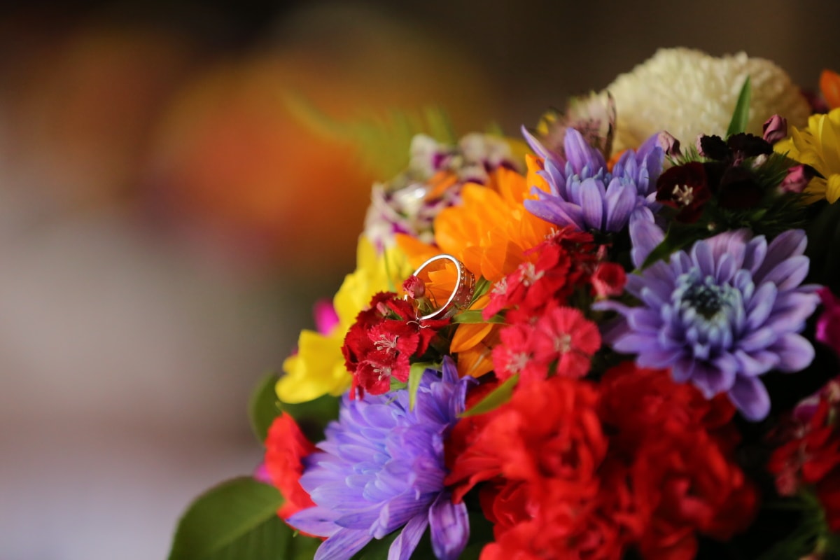 esküvői csokor, Karikagyűrű, virágok, elrendezése, színek, virágbimbó, csokor, virág, levél, szirom