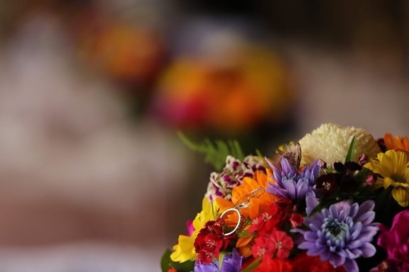 snubní prsten, kytice, květiny, rozmazaný, pastelová, dary, uspořádání, jaro, dekorace, příroda