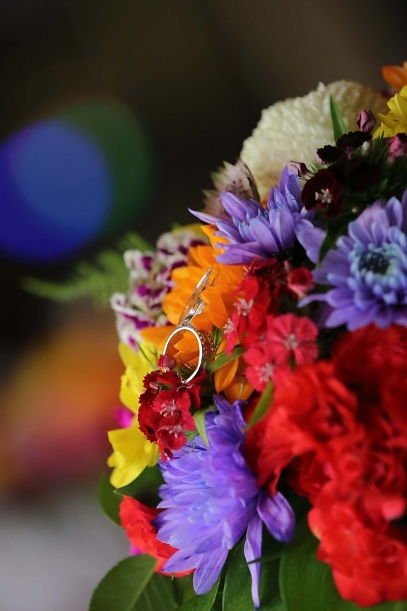 пръстени, платина, венчален пръстен, сватбен букет, цвете, Подреждане, букет, декорация, цветя, растителна