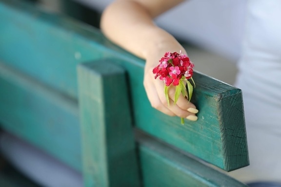 hand, flowers, bench, manicure, arm, romantic, finger, flower, pink, skin