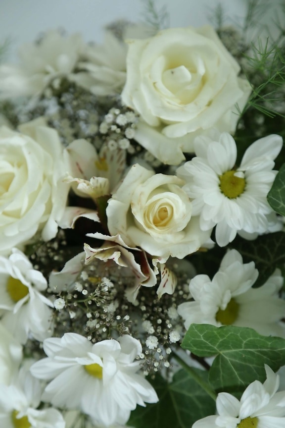 arrangement, décoration, bouquet, fleur, fleurs, amour, mariage, des roses, Rose, romance