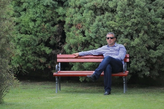 homem de negócios, banco, relaxamento, sentado, parque, coníferas, sapatos, calças, assento, móveis