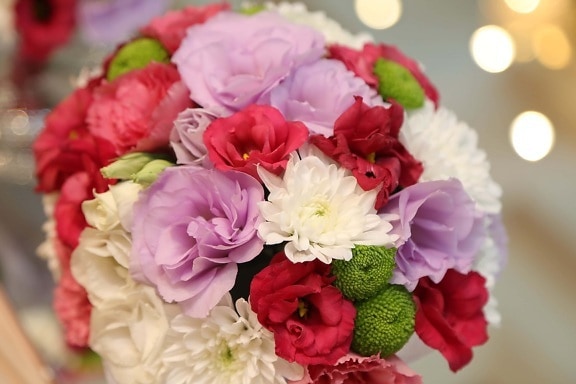 bouquet de mariage, romance, Rose, fleur, arrangement, bouquet, décoration, nature, feuille, cluster