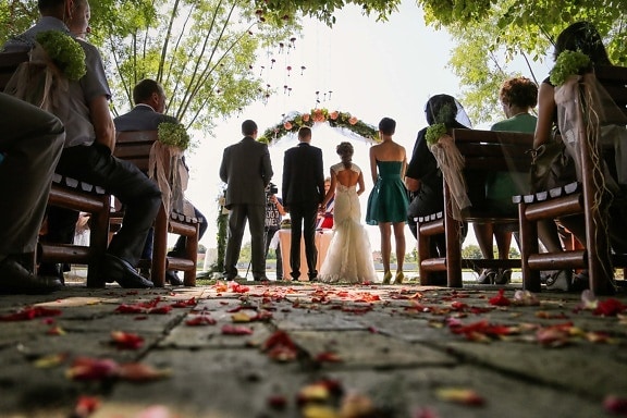 ślub, Ceremonia, Oficjalna, małżeństwo, widz, spektakularne, mężczyzna, osoba, ludzie, na zewnątrz