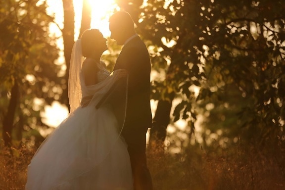 kone, solskinn, brudgommen, høst, omfavne, gift, bruden, solnedgang, kjole, bryllup