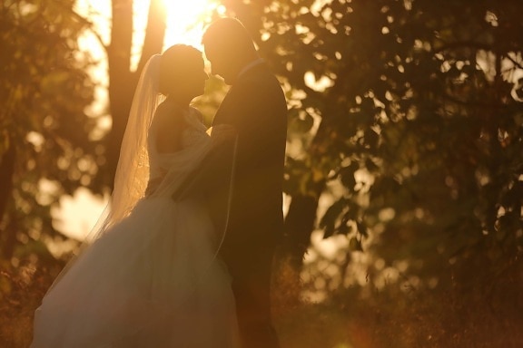 soleggiato, abbraccio, luce del sole, sposo, sposa, i raggi del sole, tramonto, sole, amore, matrimonio