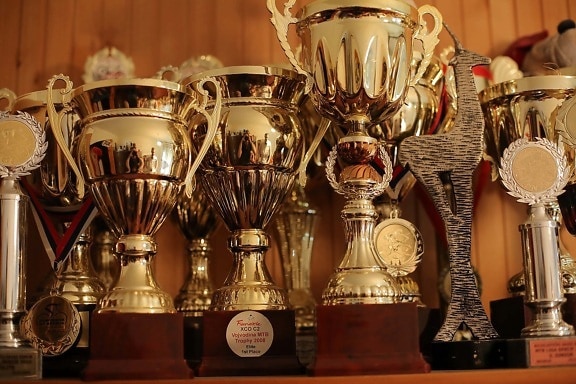 sports trophy, prize, handmade, memorabilia, victory, gold, light, interior design, vintage, brass