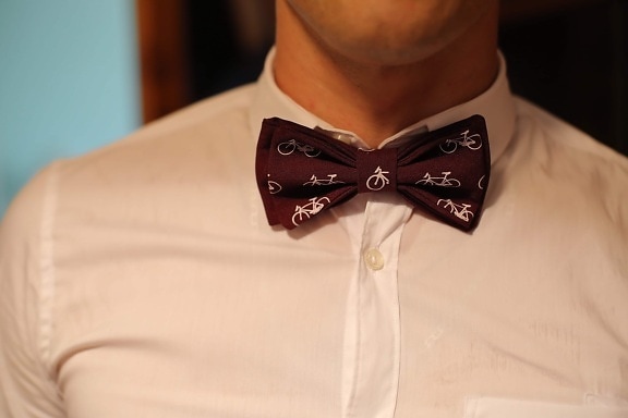 bow tie, businessman, fashion, shirt, button, close-up, neck, handsome, garment, clothing, body