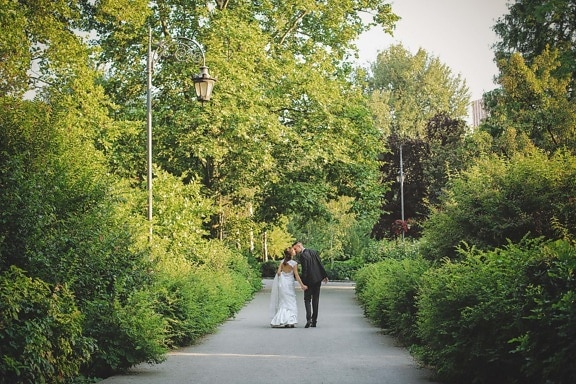 couple, kiss, wedding, park, bride, groom, garden, tree, trees, landscape