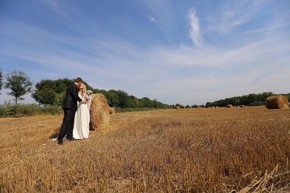 jeune marié, champ de blé, baiser, la mariée, été, balle, paysage, Hay, Agriculture, blé